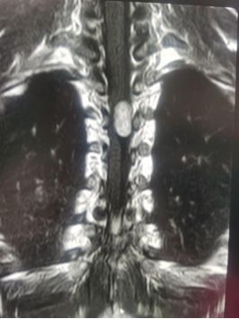 热点生活 第57页