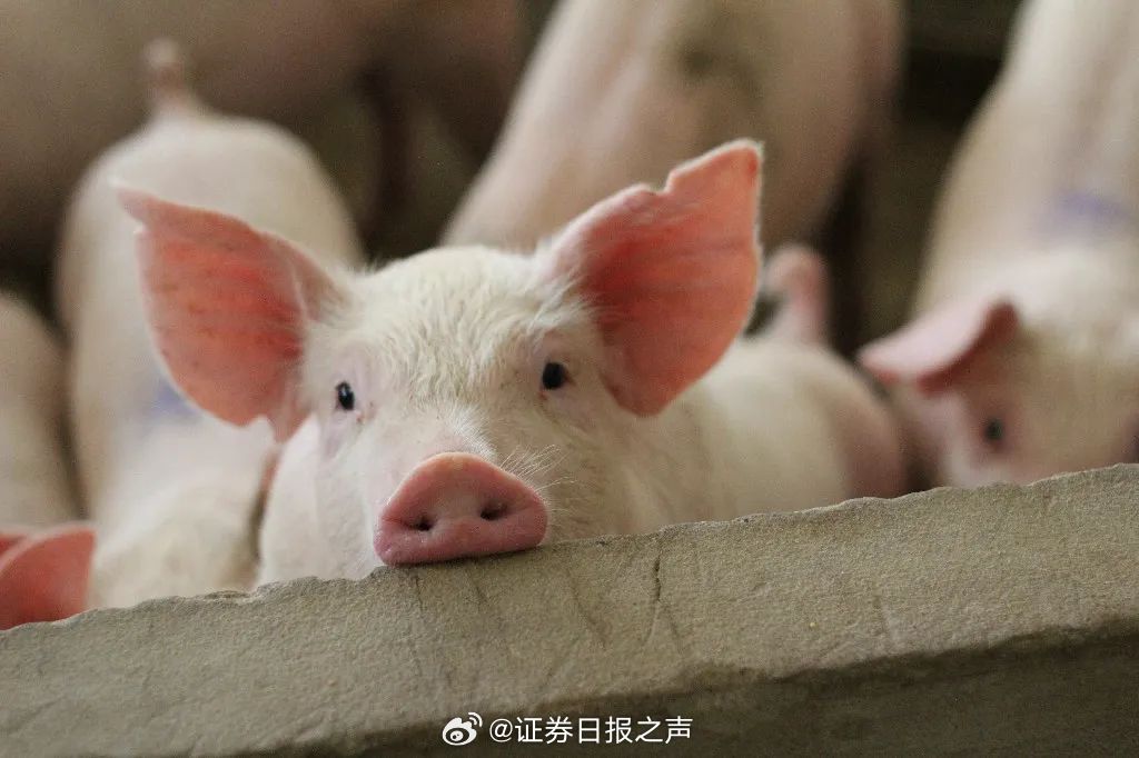 娱乐生活 第50页