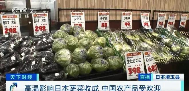 游戏专题 第10页