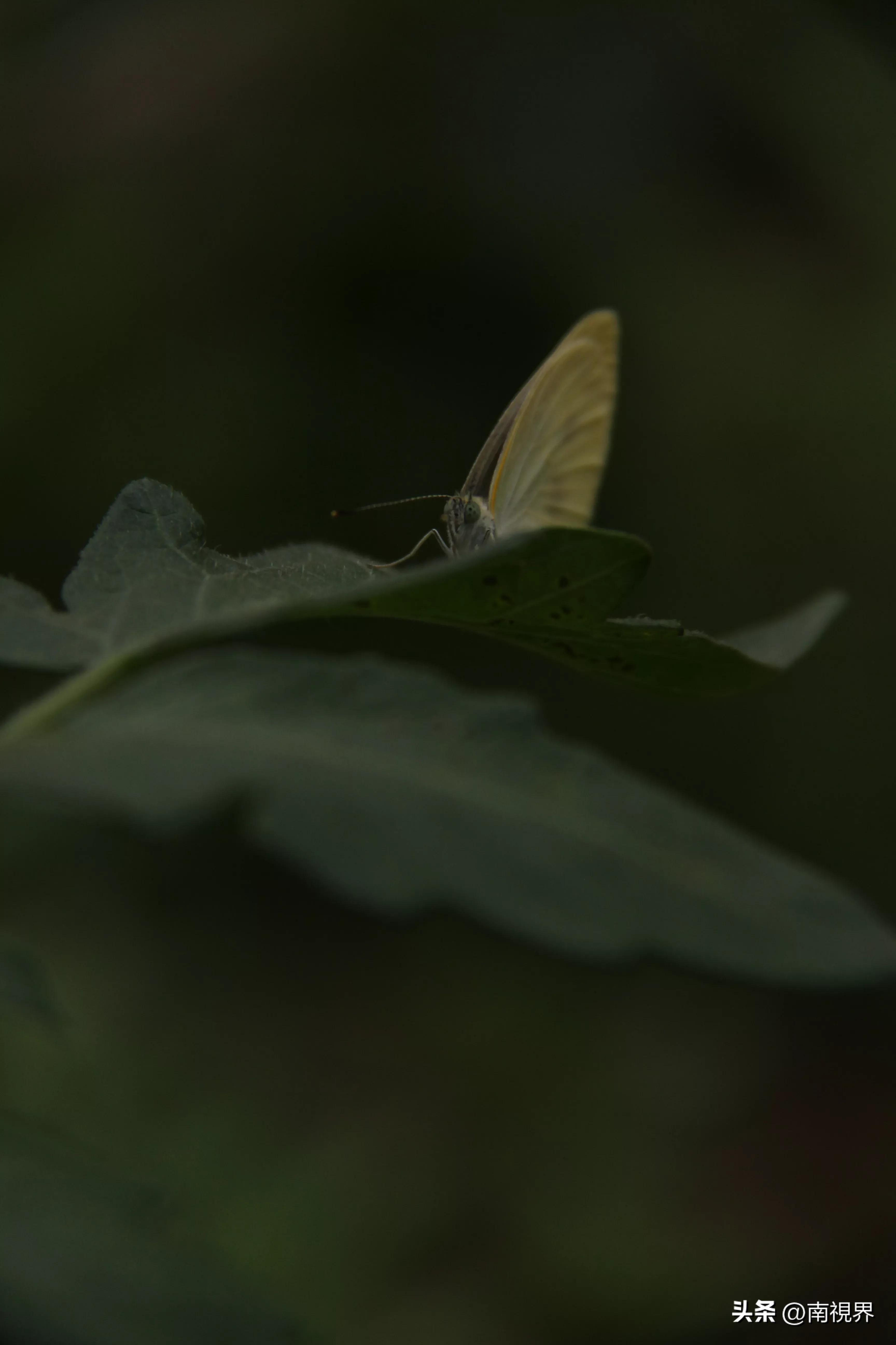 娱乐生活 第9页
